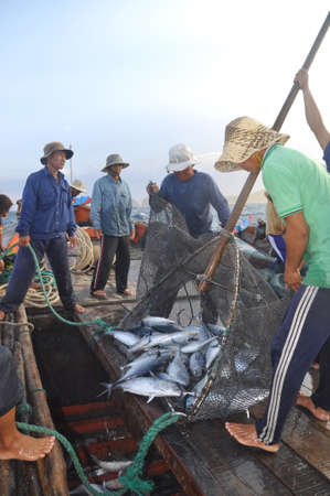 NHA TRANG, VIETNAM - MAY 5, 2012: Fishermen are collecting tuna fish caught by trawl nets in the sea of the Nha Trang bayのeditorial素材