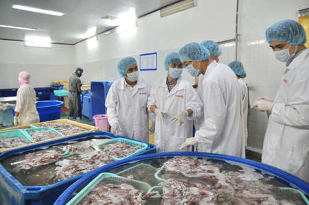 PHAN THIET, VIETNAM - DECEMBER 11, 2014: Foreign buyers are visitting a seafood factory in the Central of Vietnamのeditorial素材