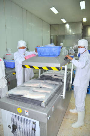 CAN THO, VIETNAM - JULY 1, 2011: Workers are vacuum packaging of pangasius catfish in a seafood factory in the Mekong delta of Vietnamのeditorial素材