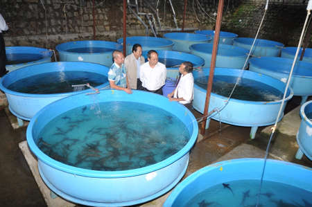 LAM DONG, VIETNAM - MAY 5, 2012: A sturgeon hatchery is being introduced to farmers in Tuyen Lam lake, Da Lat cityのeditorial素材