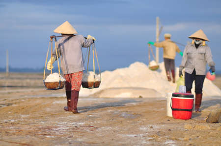 NINH HOA, VIETNAM - MARCH 2, 2012: Vietnamese women are burdening hard to collect salt from the extract fields to the storage fieldsのeditorial素材