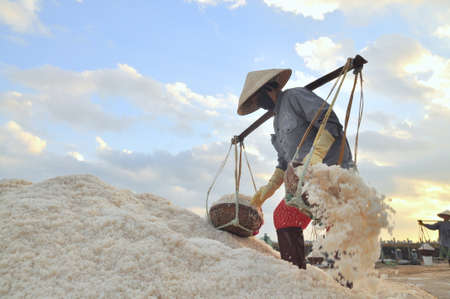 NINH HOA, VIETNAM - MARCH 2, 2012: Vietnamese women are burdening hard to collect salt from the extract fields to the storage fieldsのeditorial素材