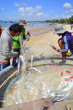 LAGI, VIETNAM - FEBRUARY 26, 2012: Local fishermen are removing fishes from their fishing nets in the Lagi beachのeditorial素材