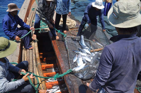 NHA TRANG, VIETNAM - MAY 5, 2012: Fishermen are collecting tuna fish caught by trawl nets in the sea of the Nha Trang bayのeditorial素材