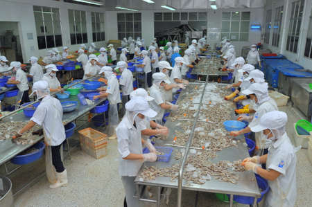 QUY NHON, VIETNAM - AUGUST 1, 2012: Workers are peeling fresh raw shrimps in a seafood factory in Quy Nhon city, Vietnamのeditorial素材