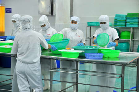 PHAN THIET, VIETNAM - DECEMBER 11, 2014: Workers are cutting squids for exporting in a seafood factory in Vietnamのeditorial素材