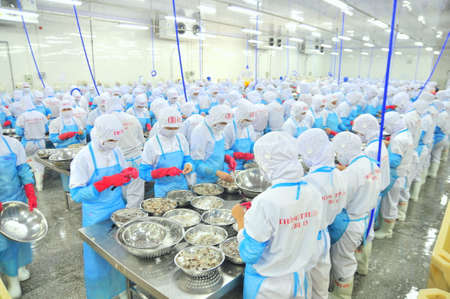 PHAN RANG, VIETNAM - DECEMBER 29, 2014: Workers are peeling and processing fresh raw shrimps in a seafood factory in Vietnamのeditorial素材