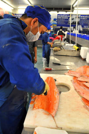 HO CHI MINH CITY, VIETNAM - OCTOBER 8, 2013: A worker is filleting salmon in a seafood supermarket in Vietnamのeditorial素材