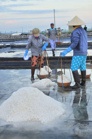 NINH HOA, VIETNAM - MARCH 2, 2012: Vietnamese women are burdening hard to collect salt from the extract fields to the storage fieldsのeditorial素材