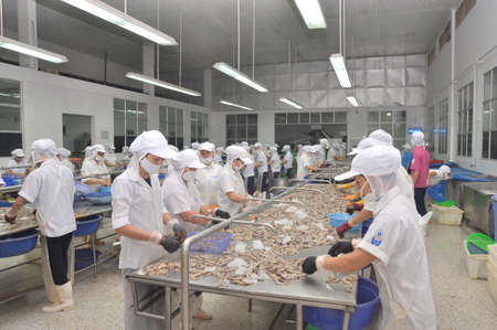 QUY NHON, VIETNAM - AUGUST 1, 2012: Workers are peeling fresh raw shrimps in a seafood factory in Quy Nhon city, Vietnamのeditorial素材