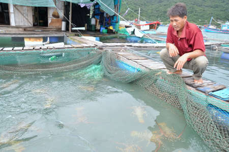 PHU YEN, VIETNAM - DECEMBER 21, 2011: A farmer with his lobster farming cage in the Vung Ro bay in Vietnamのeditorial素材