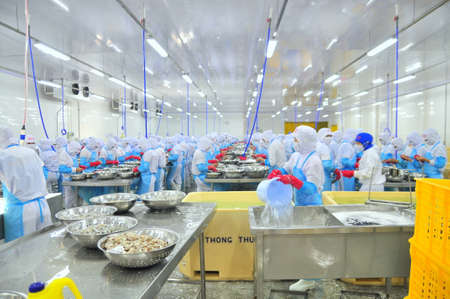 PHAN RANG, VIETNAM - DECEMBER 29, 2014: Workers are peeling and processing fresh raw shrimps in a seafood factory in Vietnamのeditorial素材
