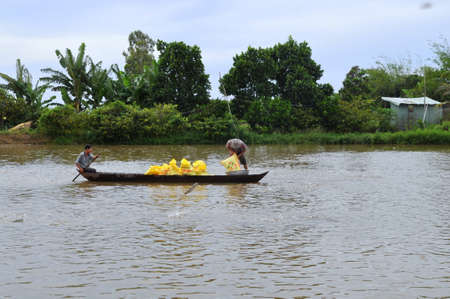 DONG THAP, VIETNAM - AUGUST 31, 2012: Farmers are feeding pangsius catfish in their pond in the mekong delta of Vietnamのeditorial素材