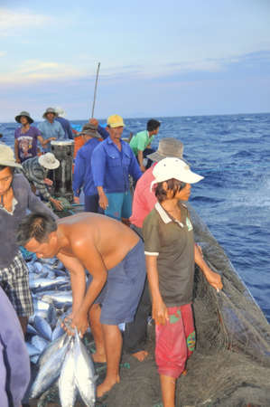 NHA TRANG, VIETNAM - MAY 5, 2012: Fishermen are collecting tuna fish caught by trawl nets in the sea of the Nha Trang bayのeditorial素材