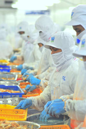 HO CHI MINH CITY, VIETNAM - JANUARY 5, 2012: Workers are peeling fresh raw shrimps in a seafood factory in Vietnamのeditorial素材