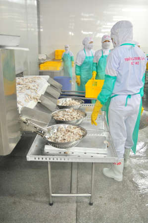 PHAN RANG, VIETNAM - DECEMBER 29, 2014: Workers are collecting frozen shrimps for exporting in a seafood factory in Vietnamのeditorial素材
