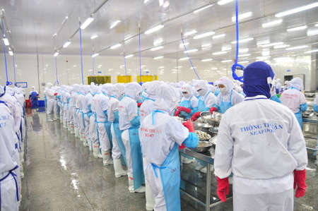 PHAN RANG, VIETNAM - DECEMBER 29, 2014: Workers are peeling and processing fresh raw shrimps in a seafood factory in Vietnamのeditorial素材