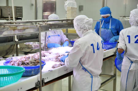 VUNG TAU, VIETNAM - DECEMBER 9, 2014: Workers are classifying octopus for exporting in a seafood processing factoryのeditorial素材