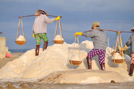 NINH HOA, VIETNAM - MARCH 2, 2012: Vietnamese women are burdening hard to collect salt from the extract fields to the storage fieldsのeditorial素材