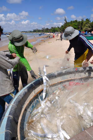 LAGI, VIETNAM - FEBRUARY 26, 2012: Local fishermen are removing fishes from their fishing nets in the Lagi beachのeditorial素材