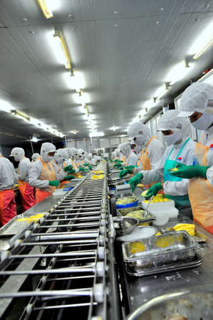 HO CHI MINH CITY, VIETNAM - OCTOBER 3, 2011: Workers are working hard on a production line in a seafood factory in Ho Chi Minh city, Vietnamのeditorial素材