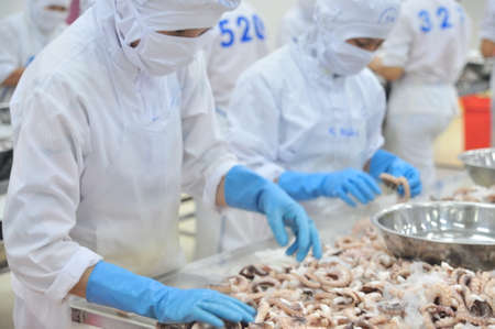 VUNG TAU, VIETNAM - DECEMBER 9, 2014: Workers are classifying octopus for exporting in a seafood processing factoryのeditorial素材