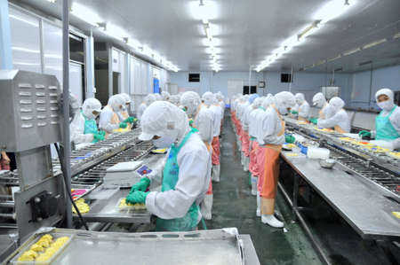 HO CHI MINH CITY, VIETNAM - OCTOBER 3, 2011: Workers are working hard on a production line in a seafood factory in Ho Chi Minh city, Vietnamのeditorial素材