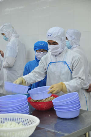 VUNG TAU, VIETNAM - DECEMBER 9, 2014: Workers are classifying octopus for exporting in a seafood processing factoryのeditorial素材