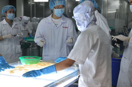 PHAN THIET, VIETNAM - DECEMBER 11, 2014:  Workers are testing the color of squids for exporting in a seafood factory in Vietnamのeditorial素材