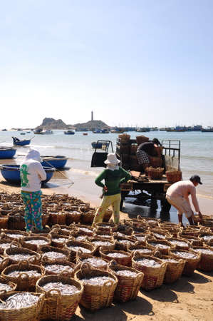 LAGI, VIETNAM - FEBRUARY 26, 2012: Fisheries are located on the beach in many baskets waiting for uploading onto the truck to the processing plantのeditorial素材