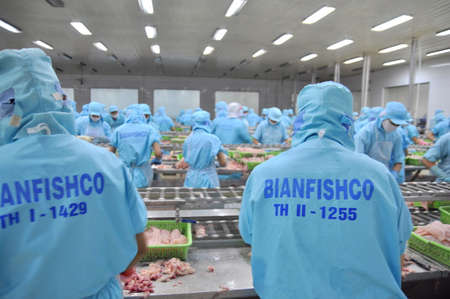 CAN THO, VIETNAM - JULY 1, 2011: Workers are filleting pangasius catfish in a seafood factory in the Mekong delta of Vietnamのeditorial素材