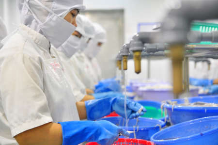 PHAN THIET, VIETNAM - DECEMBER 11, 2014: Workers are washing squids for exporting in a seafood factory in Vietnamのeditorial素材