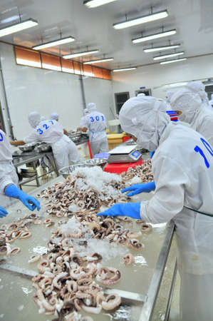VUNG TAU, VIETNAM - DECEMBER 9, 2014: Workers are classifying octopus for exporting in a seafood processing factoryのeditorial素材