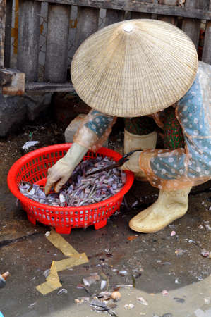 NHA TRANG, VIETNAM - OCTOBER 5, 2011: A Woman is selling forage fishes at a local seafood market in Vinh Luong portのeditorial素材