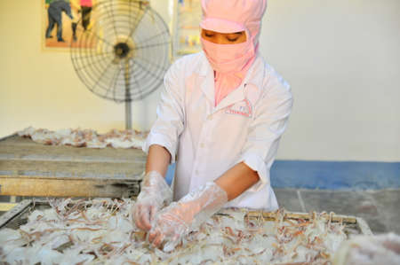 PHAN THIET, VIETNAM - DECEMBER 11, 2014: Workers are peeling dry squids for exporting in a seafood factory in Vietnamのeditorial素材