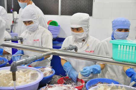 PHAN THIET, VIETNAM - DECEMBER 11, 2014: Workers are peeling squids for exporting in a seafood factory in Vietnamのeditorial素材