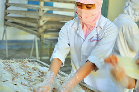 PHAN THIET, VIETNAM - DECEMBER 11, 2014: A workers is drying squids for exporting in a seafood factory in Vietnamのeditorial素材