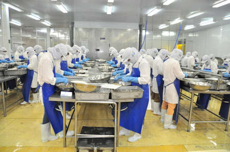 TRA VINH, VIETNAM - NOVEMBER 19, 2012: Workers are peeling and processing fresh raw shrimps in a seafood factory in the Mekong delta of Vietnamのeditorial素材