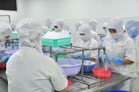 PHAN THIET, VIETNAM - DECEMBER 11, 2014: Workers are peeling squids for exporting in a seafood...