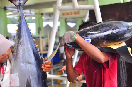 General Santos, Philippines - September 5, 2015: Fisherman is weighing tuna to sell to the marketのeditorial素材