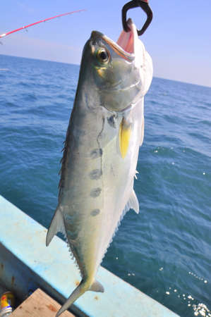 Vung Tau, Vietnam - October 11, 2015: People are hook fishing for entartainment in Vietnamのeditorial素材