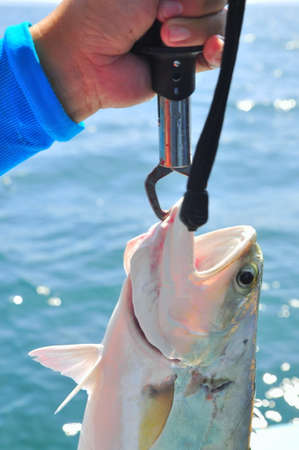Vung Tau, Vietnam - October 11, 2015: People are hook fishing for entartainment in Vietnamのeditorial素材