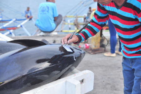 General Santos, Philippines - September 5, 2015: Tuna are marked with the name of the fisherman who caught themのeditorial素材