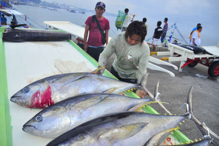 General Santos, Philippines - September 5, 2015: Porters are loading tuna onto truck to the seafood factory in General Santos cityのeditorial素材
