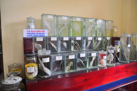 Nha Trang, Vietnam - February 9, 2016: Mummified specimen of all kinds of fish and sea life in liquid are stored and showed to tourists at the Vietnam Institution of Ocean in Nha Trang cityのeditorial素材