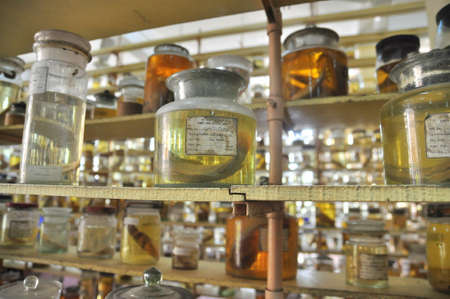 Nha Trang, Vietnam - February 9, 2016: Mummified specimen of all kinds of fish and sea life in liquid are stored and showed to tourists at the Vietnam Institution of Ocean in Nha Trang cityのeditorial素材
