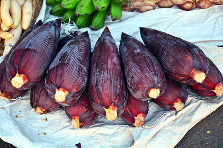 New Delhi, India - October 10, 2015: Banana flowers are for sale in a local market in Indiaのeditorial素材