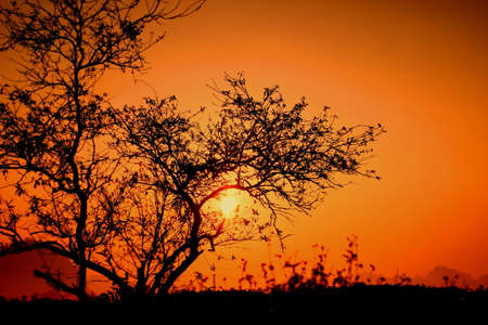 The dawn in Vietnamの写真素材