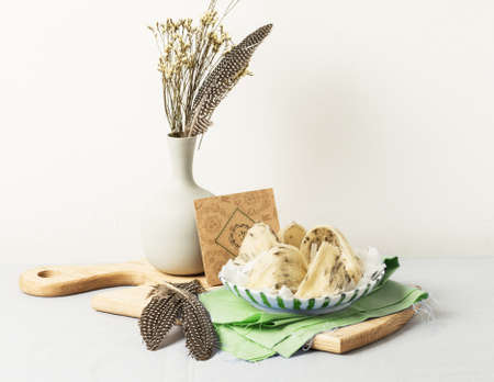 Bird's nest or Salanganes, a luxury food from natureの写真素材