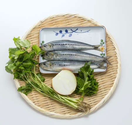 Fresh raw sardine fish with cumin herbs and onion on bamboo tray in white backgroundの写真素材